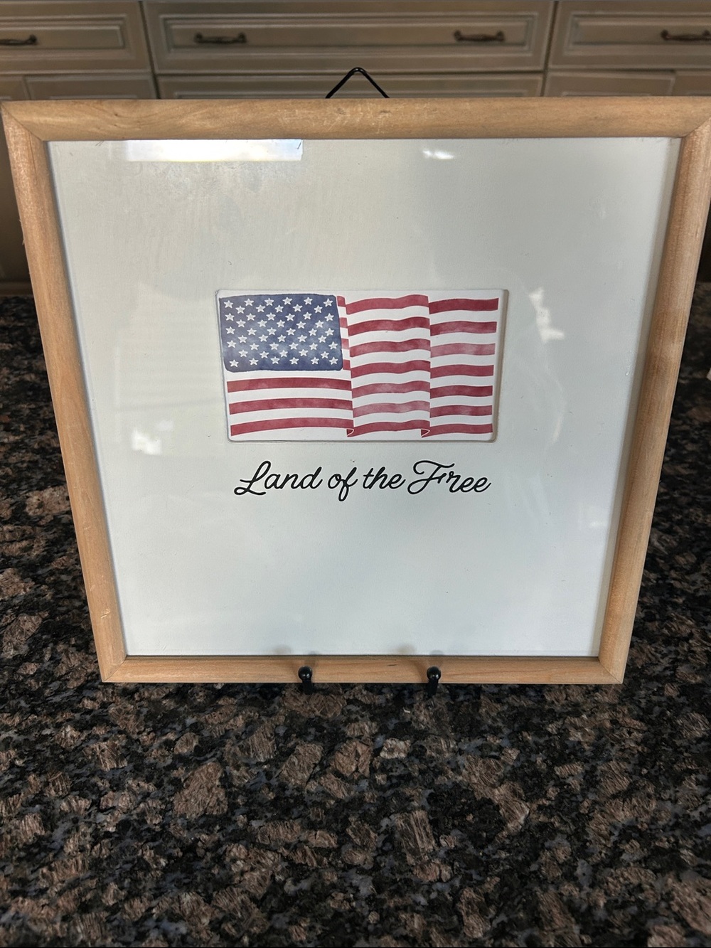 CELEBRATE IT PATRIOTIC "LAND OF THE FREE" FRAMED WALL NWT